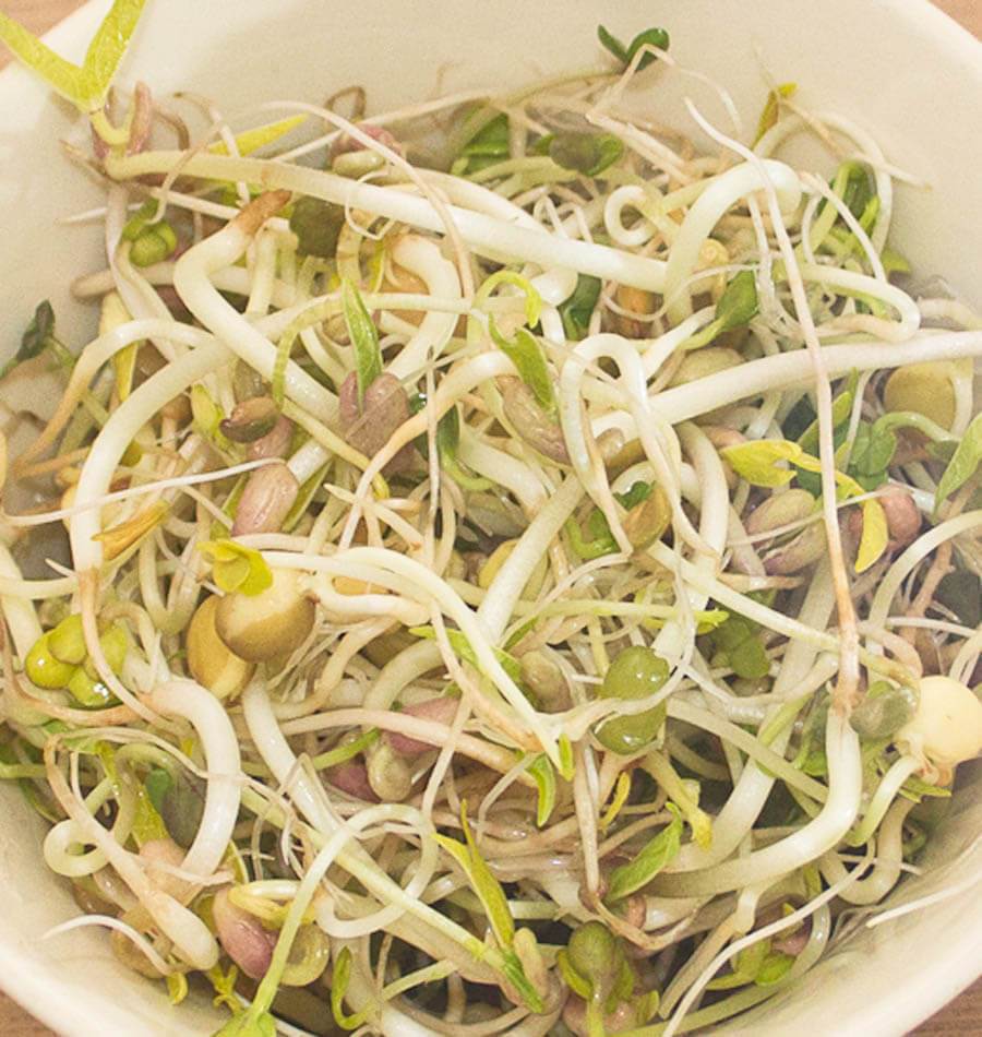 Green Hunter Organic Sprouting Seeds – Nutrient-Rich Blend for Healthy Dishes 0