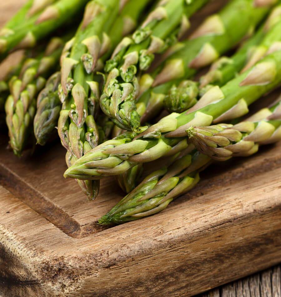 Guelph Millennium Asparagus Seeds – Ideal for Organic Gardeners – Cold Tolerant and Productive 0