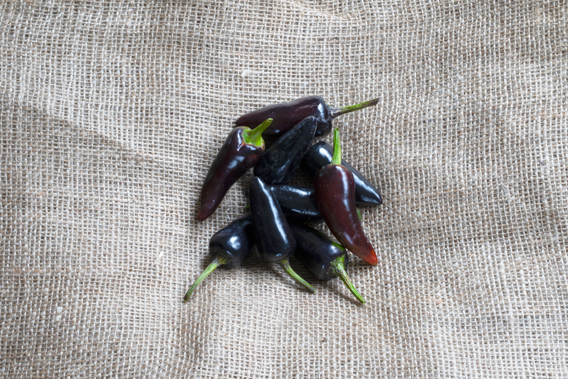 Harmonious Black Organic Pepper Seeds – Vibrant Color and Flavor Enhancement 1