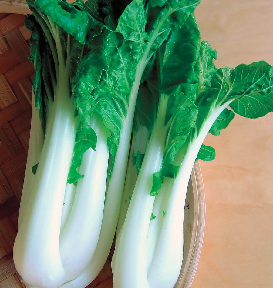 Joi Choi F1 Vegetable Seeds – Sweet Mild Flavor for Year-Round Harvests 1