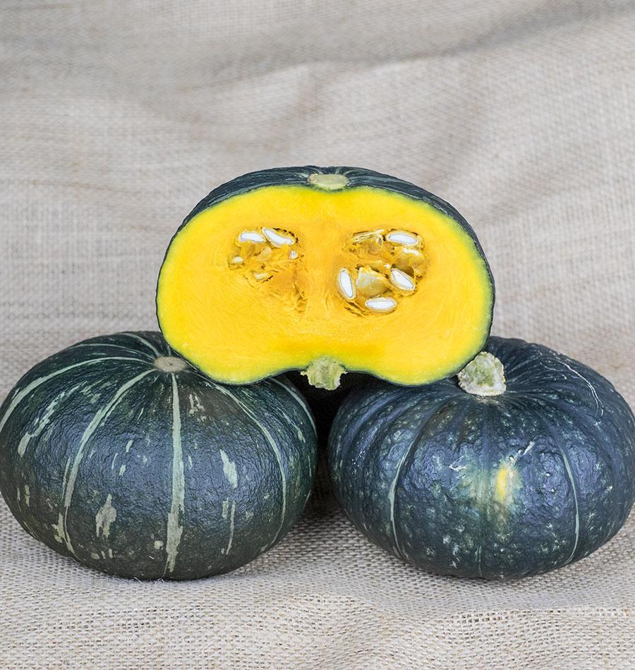Kabocha Kurinishiki Vegetable Seeds – High-Yielding Hybrid for Flavorful Home Gardens 0