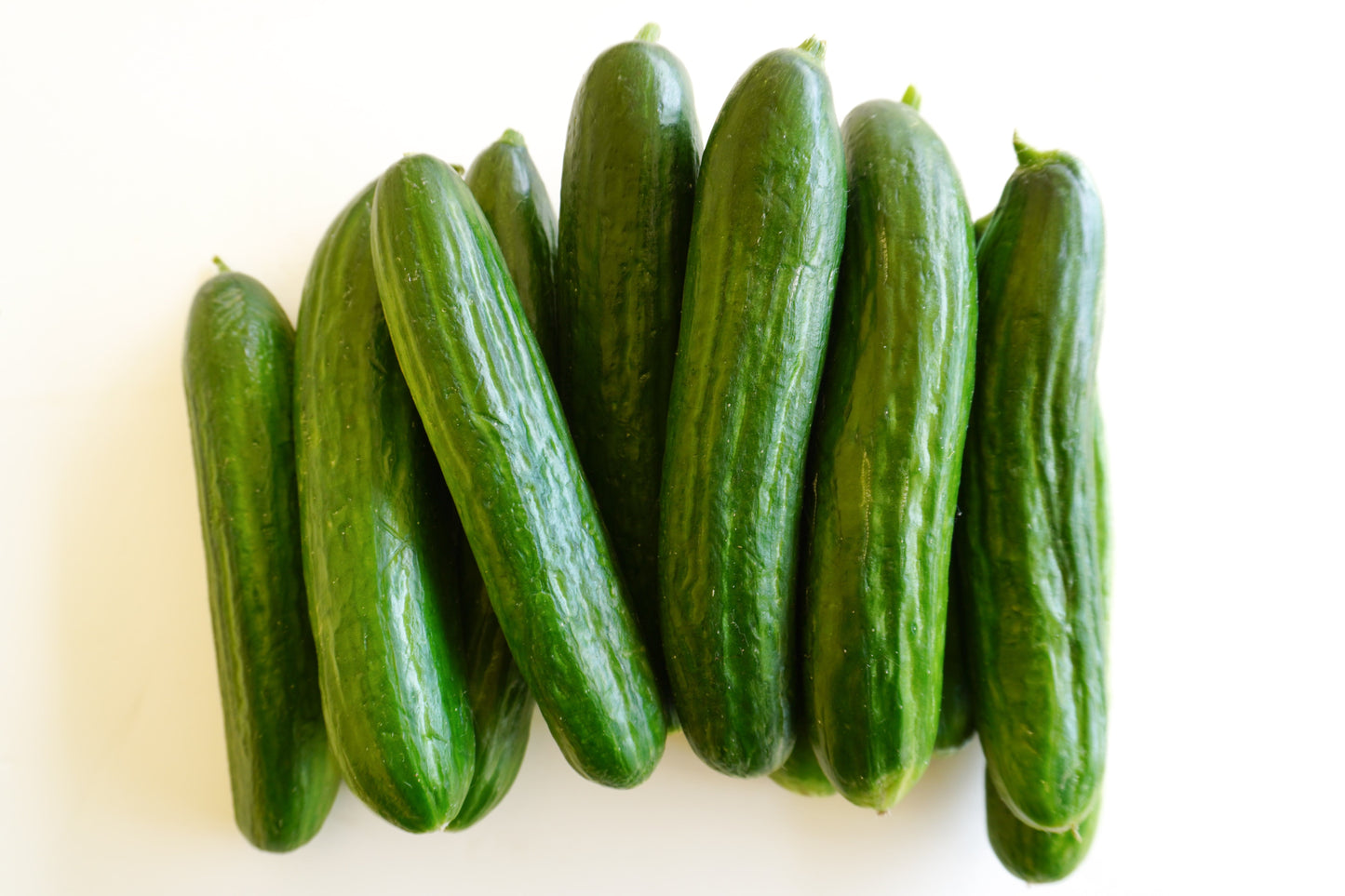 Manny Beit Alpha Cucumber Seeds – High-Quality Parthenocarpic Variety for Indoor and Outdoor Growing 4