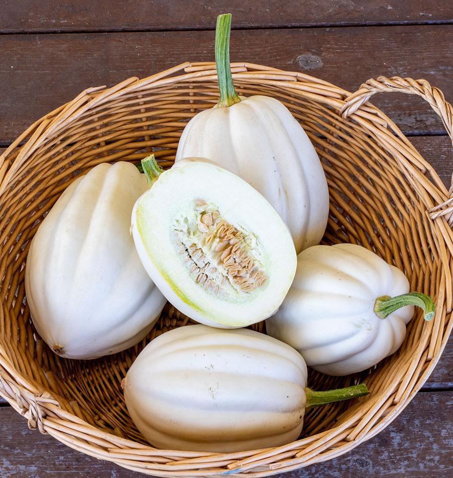 Mellow White Acorn Squash – Ideal for Healthy Cooking Alternatives 2