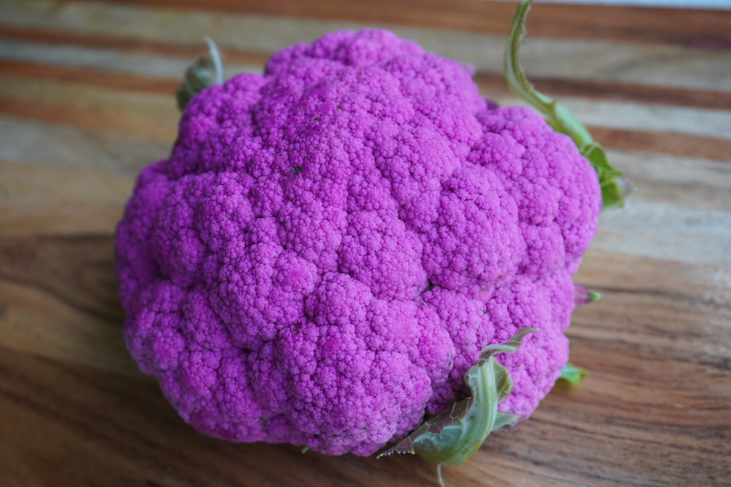 Pine Purple Moon Cauliflower – Fast-Growing Vegetable for Early Harvest 2