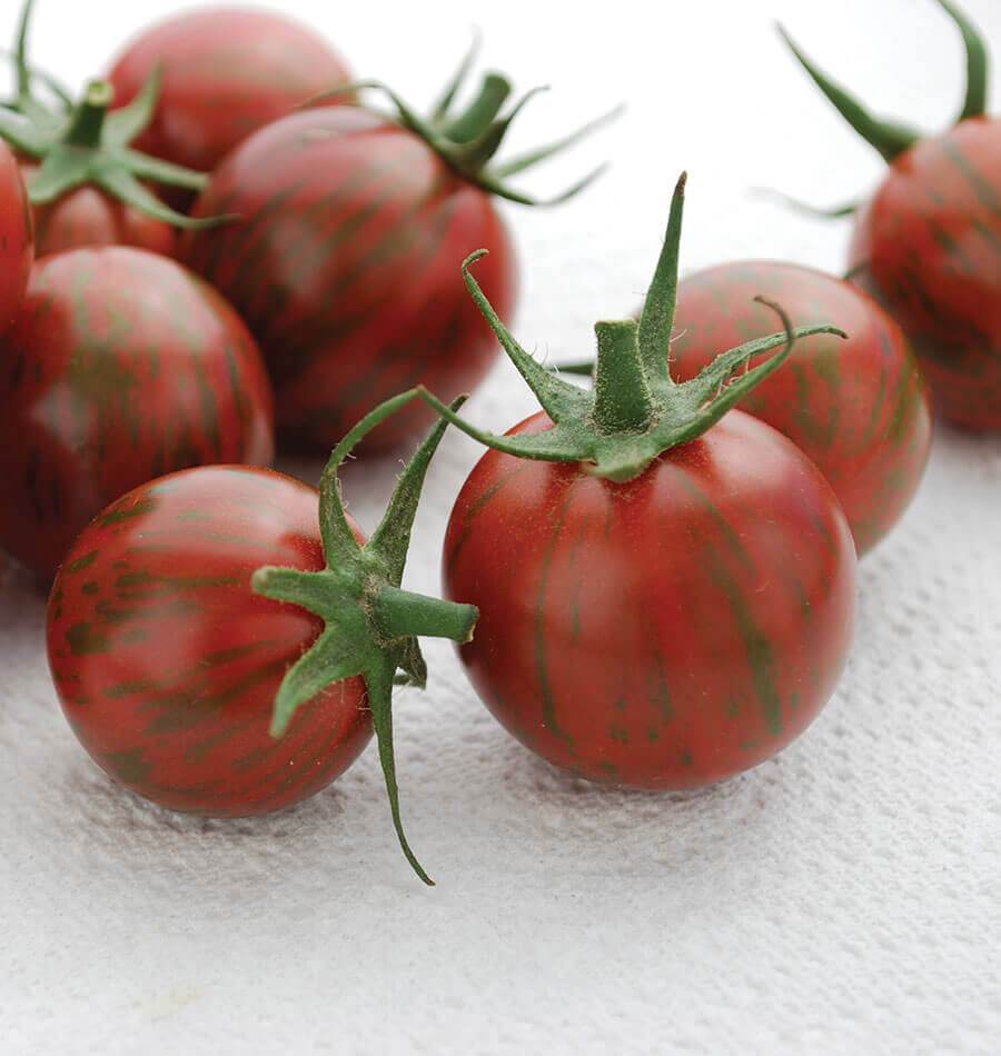 Poppy Organic Tomato Seeds – Sweet Purple Striped Fruits for Home Gardeners 0