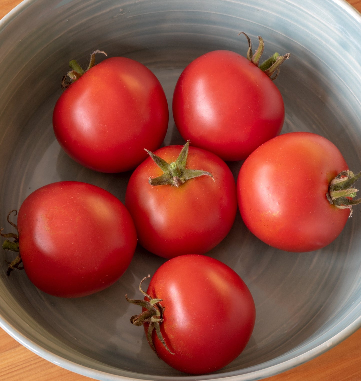 Red Racer Tomato Plant – Compact Bush Variety with Early Maturing Sweet Flavor for Garden Enthusiasts 1