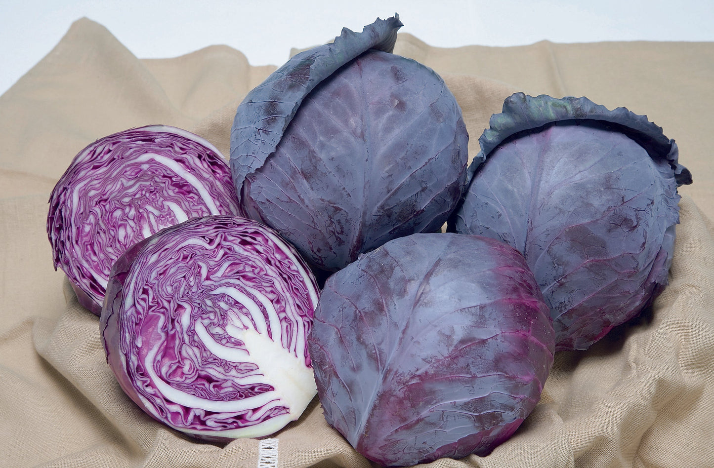 Ruby Gardeners' Early Red Cabbage – Compact Size for Small Spaces and Flexible Harvesting 0