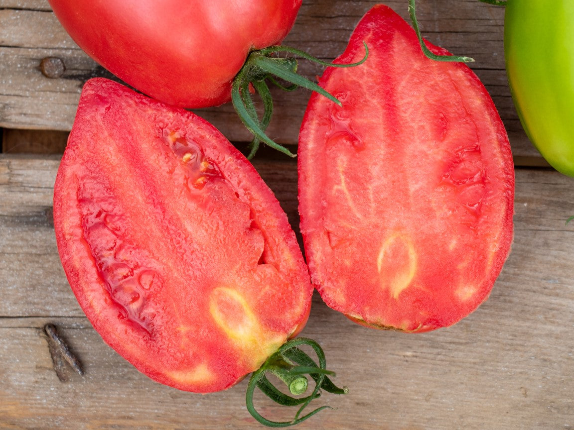 Rugby Tomato Plants for Sale – Dense Roma Variety with Firm Texture for Fresh Eating and Canning 3