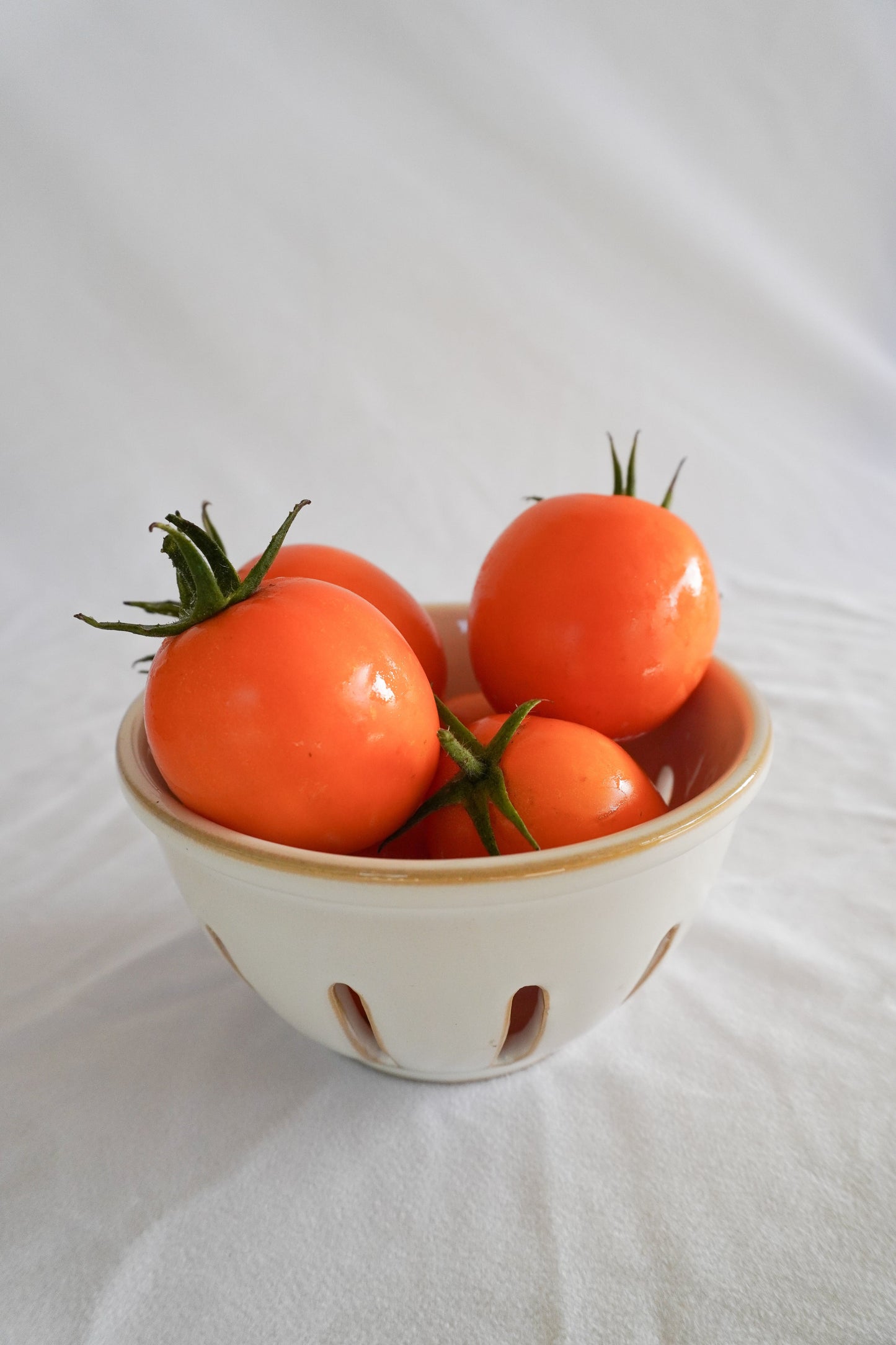 Sierra Tomato Plants – Vibrant Orange Roma Variety for Flavorful Sauces and Dishes 2