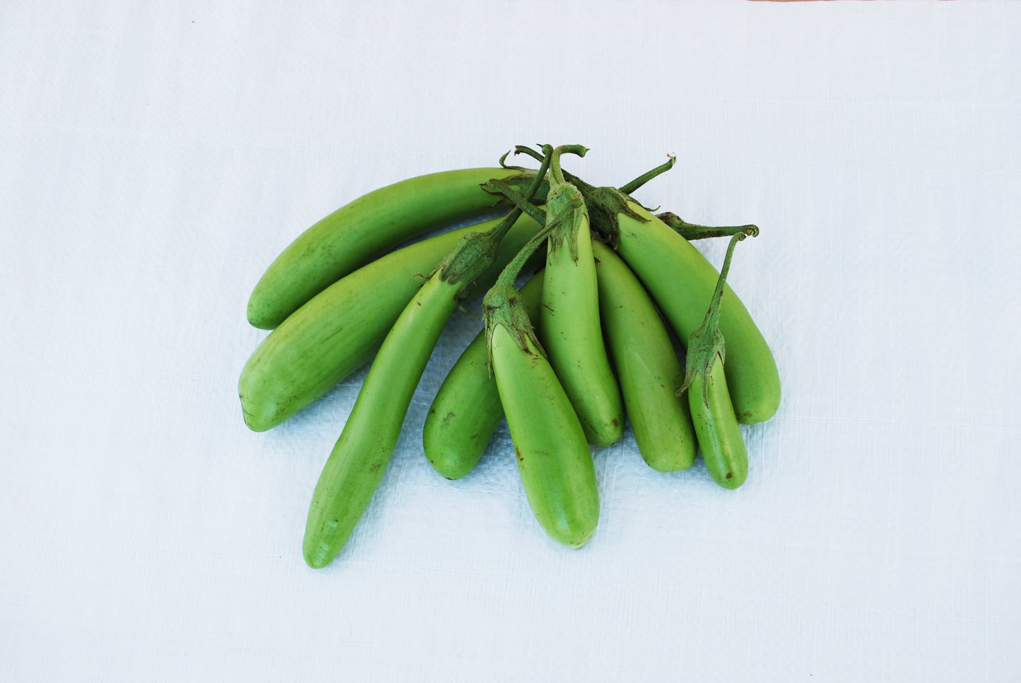 Tasty Thai Green Organic Eggplant – Unique Flavorful Addition for Culinary Delights 0
