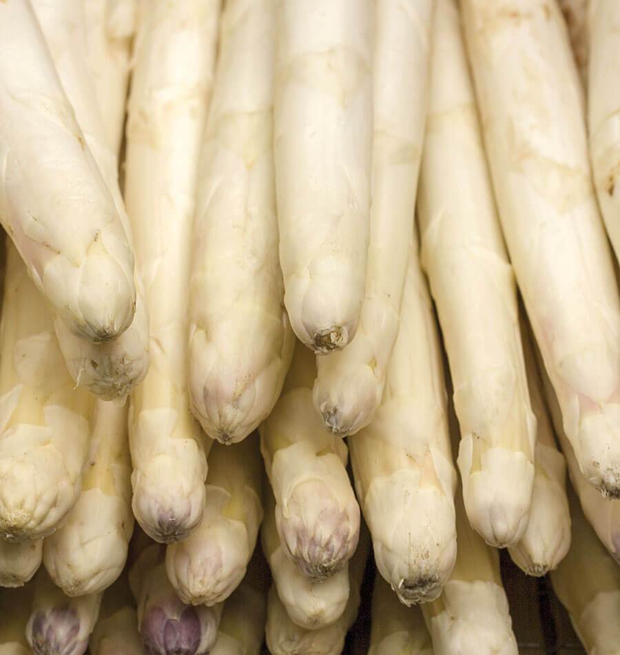Vibrant Asparagus F1 Seeds ā Ideal for Gourmet White and Green Spears 0