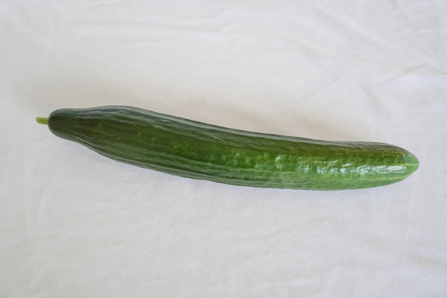 Vista Cucumber Gardeners Vegetable – Crisp Bitter-Free Long Fruit 3