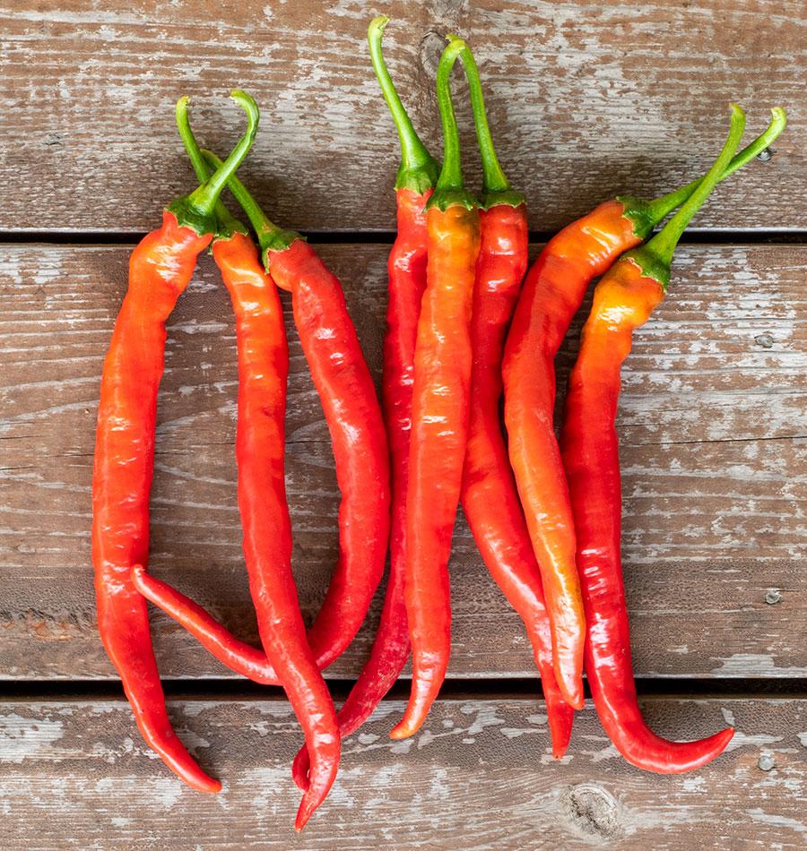 Witch Stick Gardening Enthusiasts Pepper Seeds – Unique Corkscrew Shape With Mild Heat For Fun Growing 3