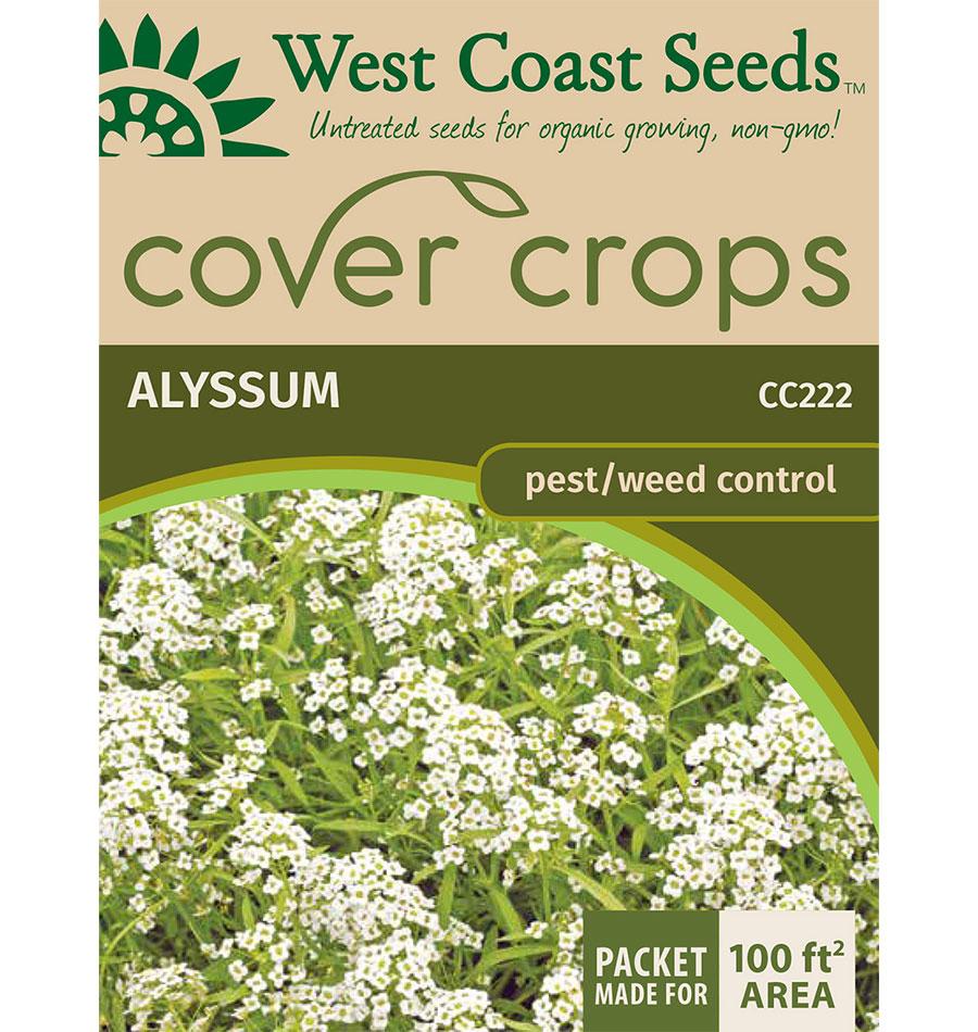 Alyssa Gardeners' Choice Flower – Effective Weed Suppression and Beneficial Insect Attraction for a Healthy Garden Ecosystem 1