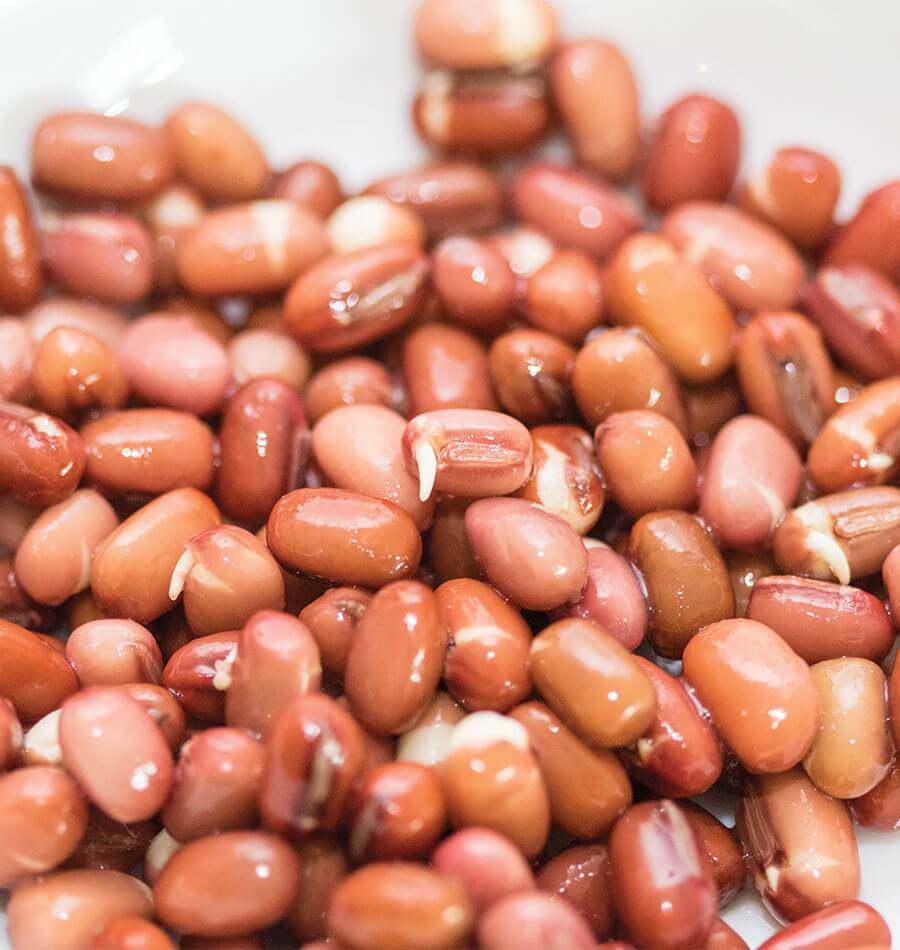 Amazin Organic Adzuki Beans Sprouting Seeds – Quick Growing Nutrient-Rich Option for Healthy Meals 0