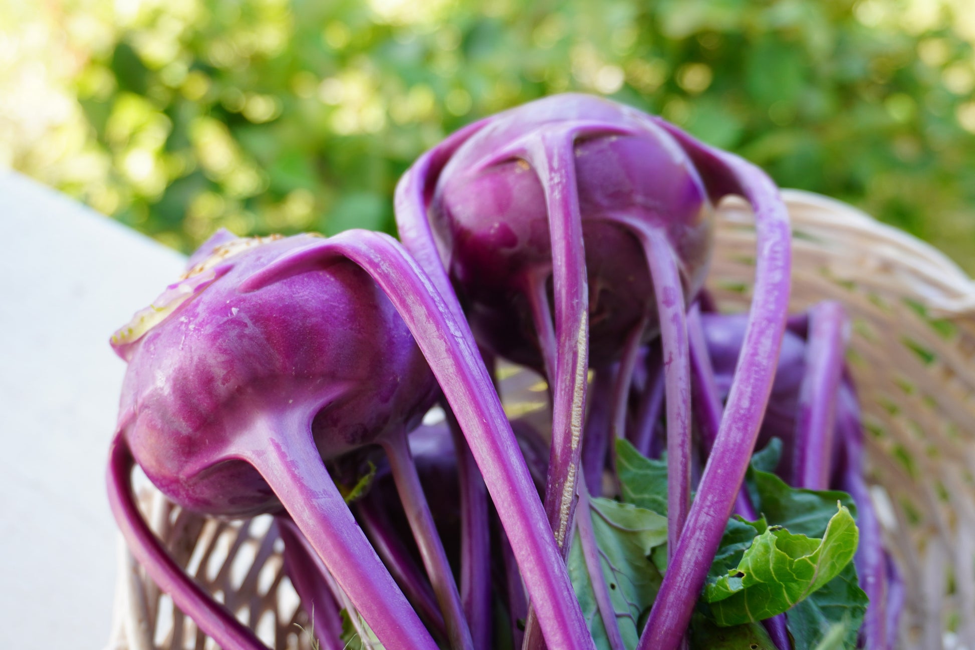 Amazin Organic Purple Kohlrabi – Crisp Texture and Sweet Flavor for Fresh Salads 3