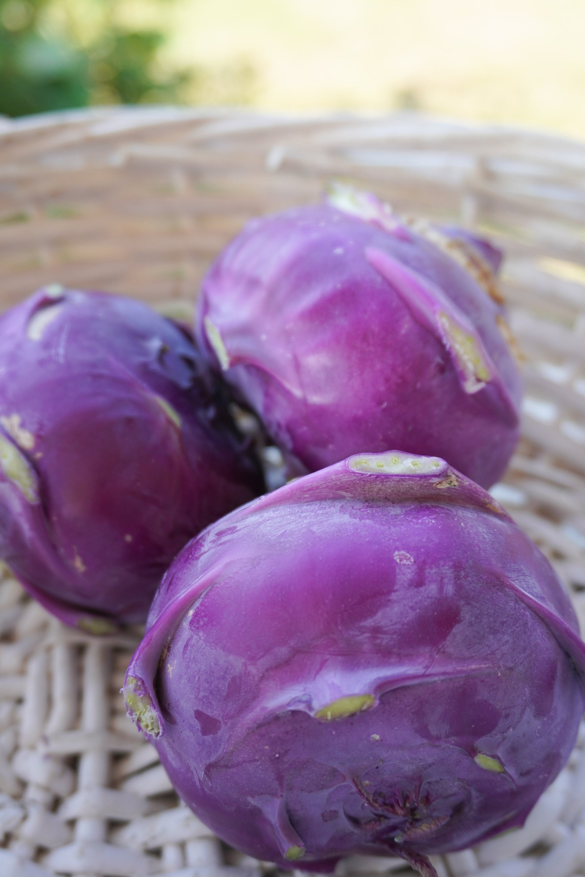 Amazin Organic Purple Kohlrabi – Crisp Texture and Sweet Flavor for Fresh Salads 4