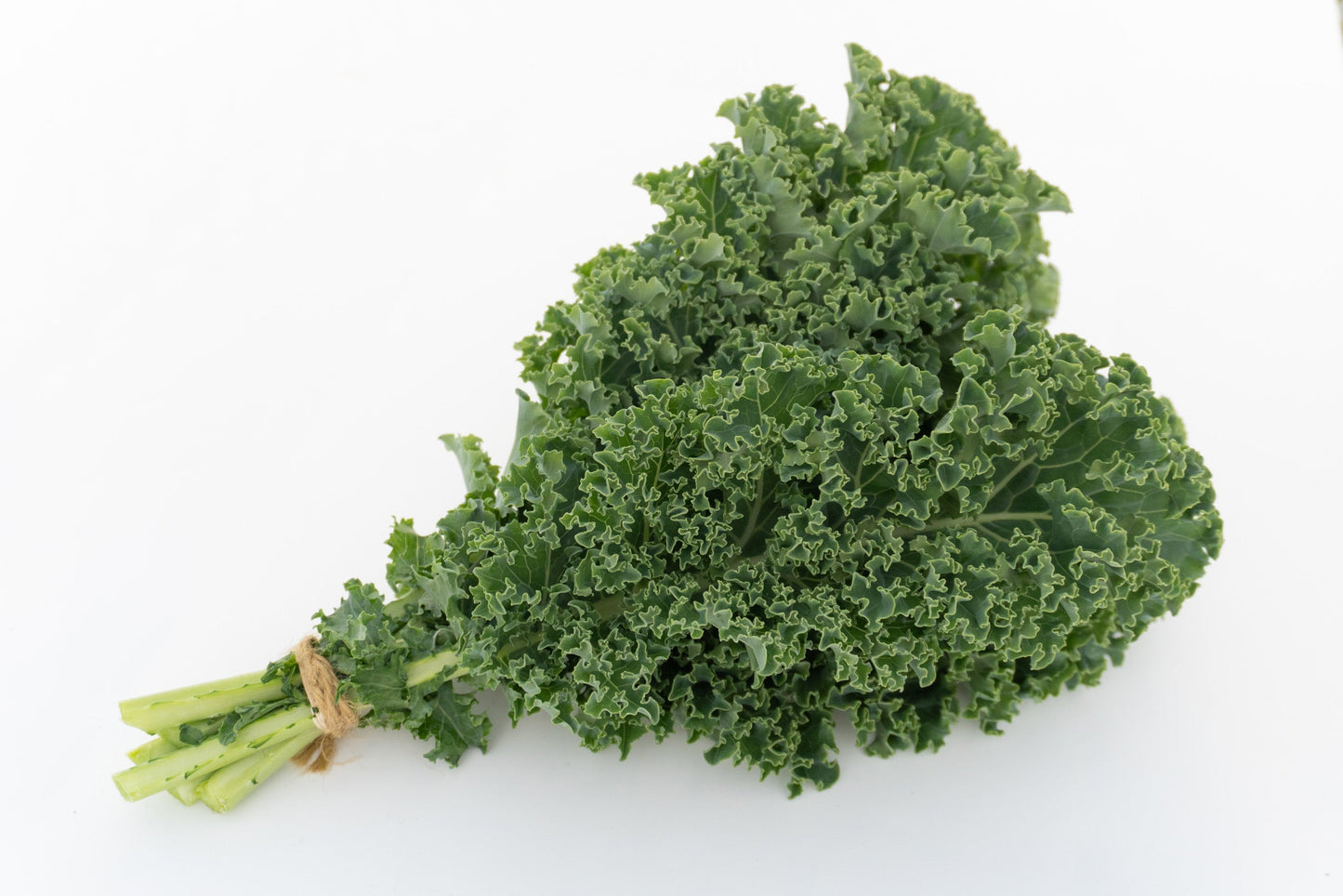 Arun F1 Organic Kale – Versatile Vegetable for All Seasons 1