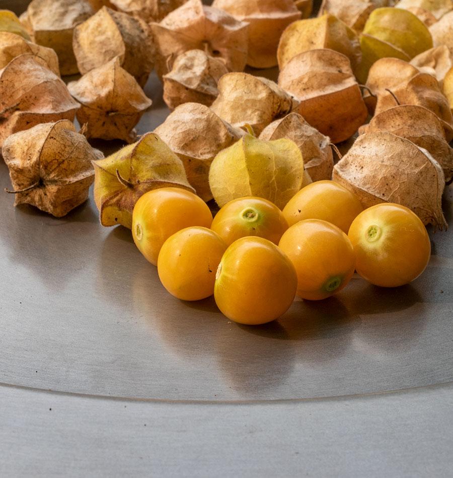 Aunt Molly's Ground Cherry Home Gardeners Seeds – Sweet Golden Fruits for Delicious Preserves 2