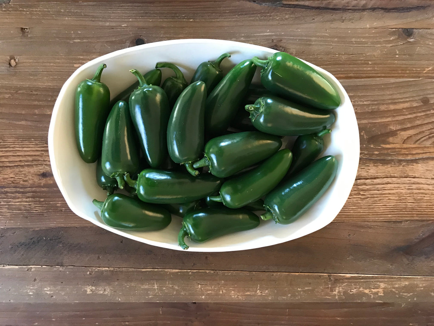 Black Magic F1 Organic Jalapeño – Mild Spicy Flavor with Floral Notes 0