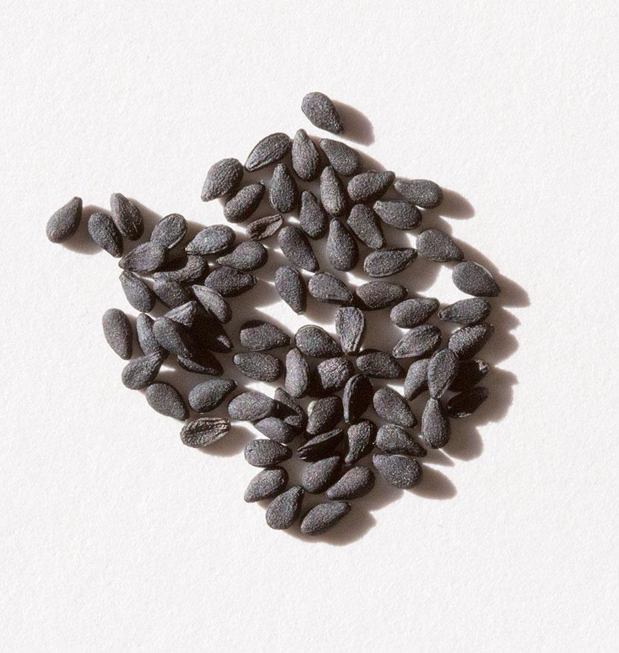 Black Sesame Culinary Seeds – Rich Flavor for Gourmet Dishes 1