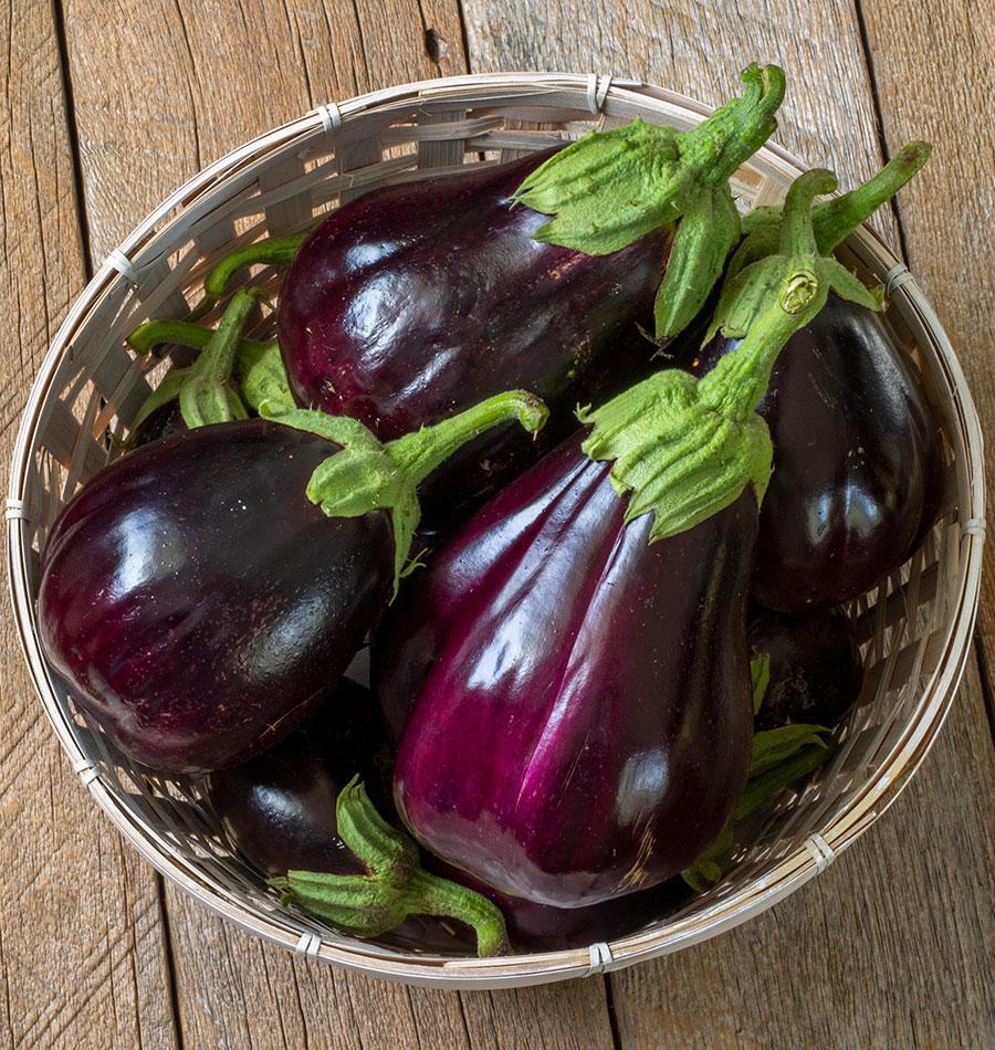 Bountiful Black Beauty Organic Eggplant – Heirloom Variety for Thriving Gardens 0