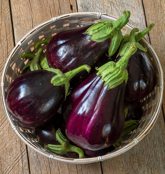 Bountiful Black Beauty Organic Eggplant – Heirloom Variety for Thriving Gardens 0