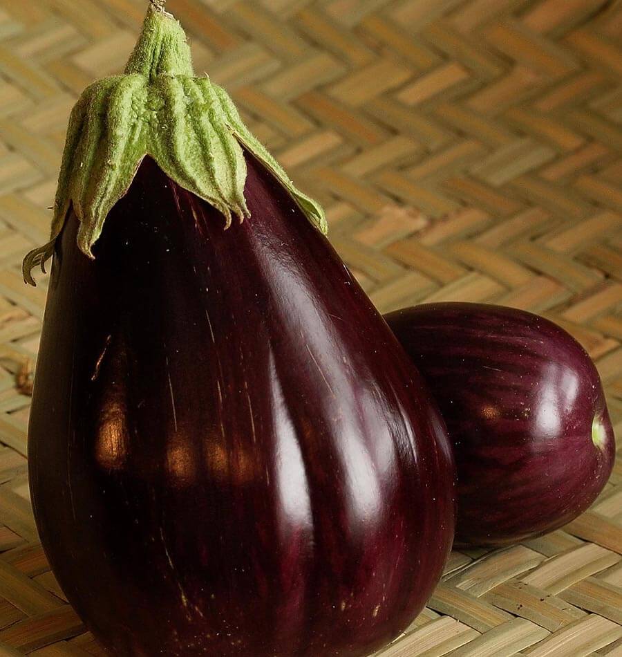 Bountiful Black Beauty Organic Eggplant – Heirloom Variety for Thriving Gardens 1
