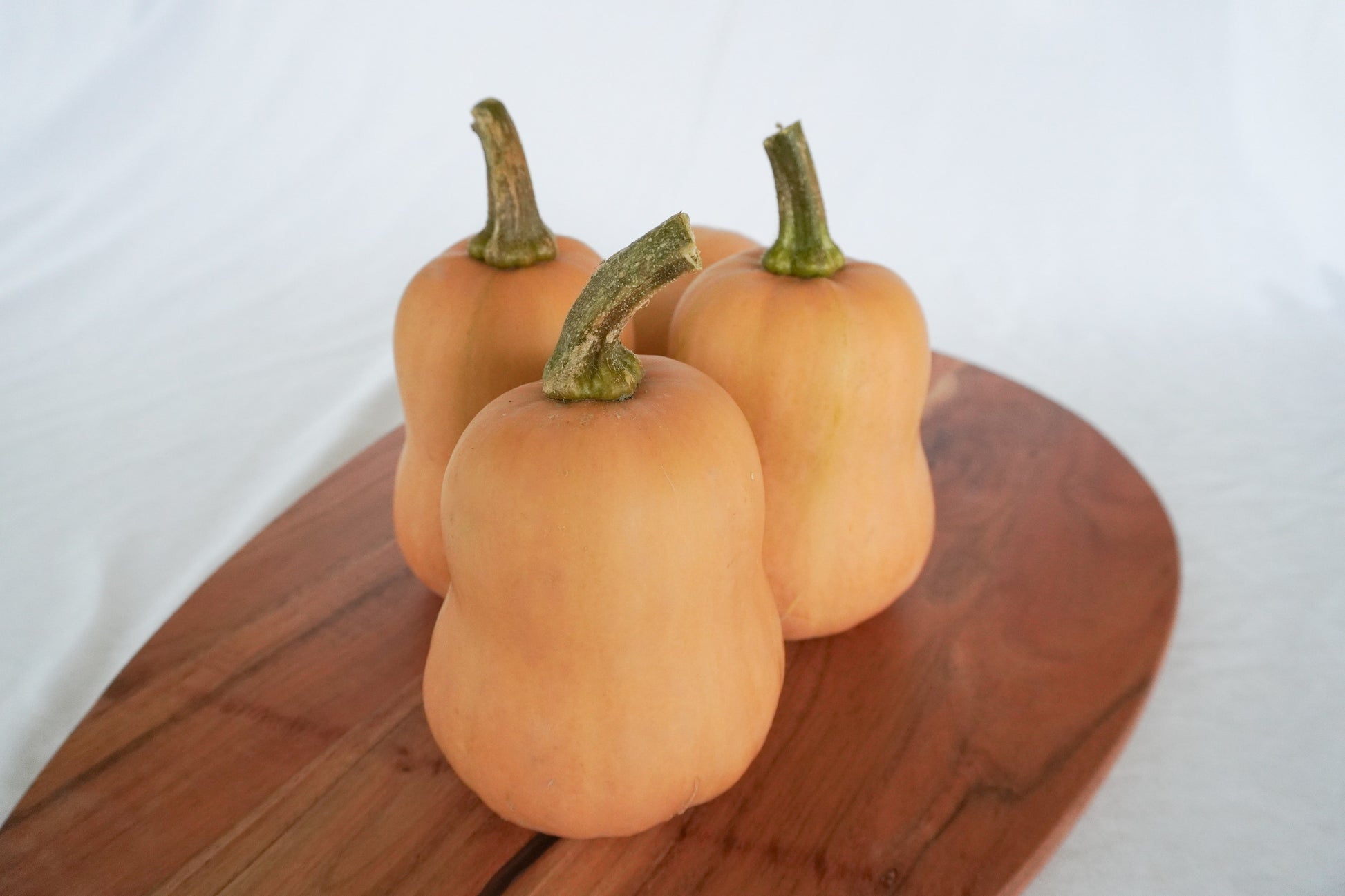 Buzzy Home Gardeners' Organic Mini Butternut Squash – Early Maturity with High Yields 1