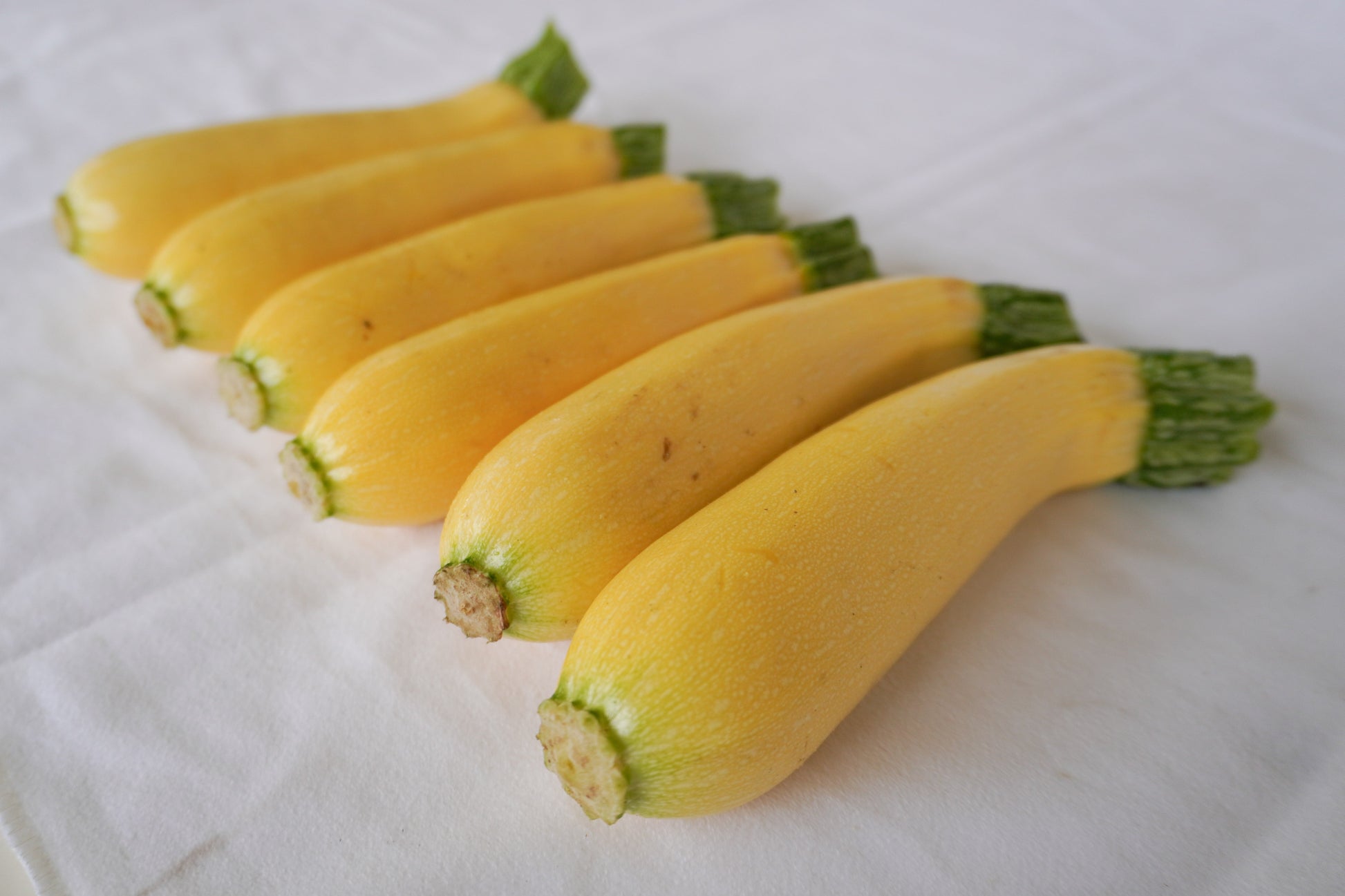 Buzzy Yellow Summer Squash – High Yield Hybrid Vegetable for Diverse Gardens 2