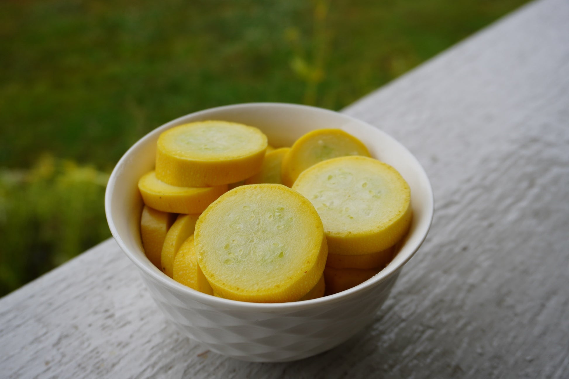 Buzzy Yellow Summer Squash – High Yield Hybrid Vegetable for Diverse Gardens 3