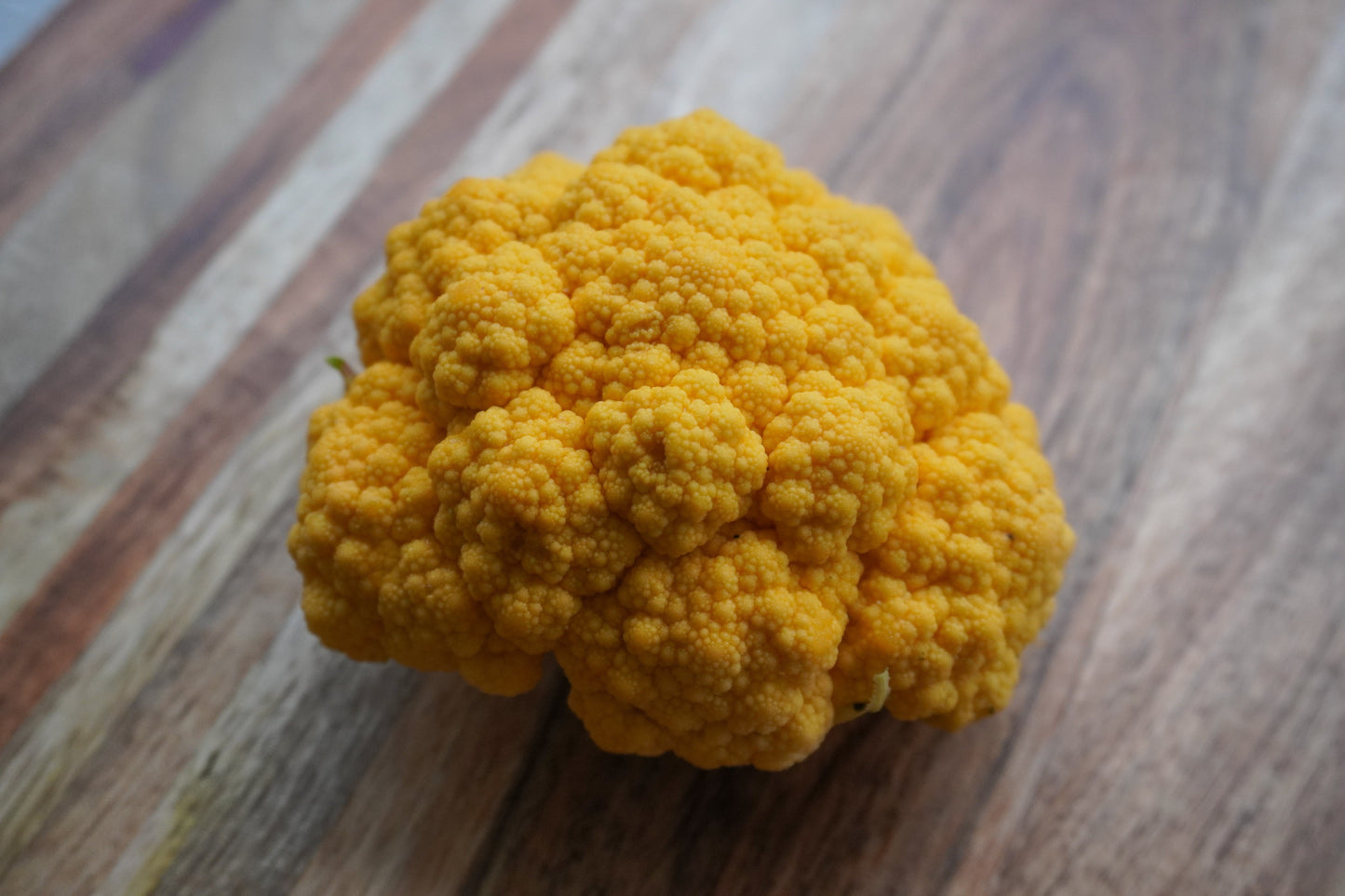 Clementine Vibrant Orange Cauliflower – Early Maturing Hybrid with Stunning Color for Beautiful Gardens 2