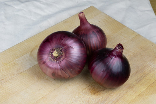 Crimson Early Maturing Red Onion – Globe Shaped, Ideal For Short Growing Seasons 0