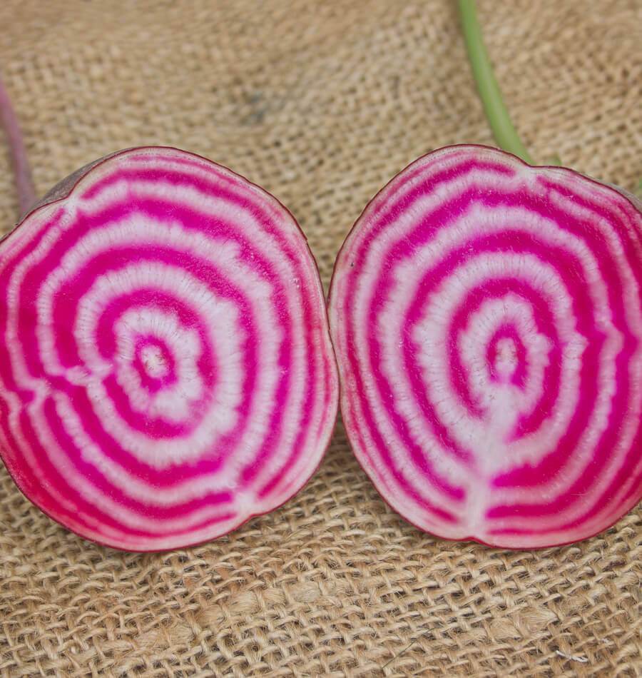 Crisp Chioggia Beet Seeds – Unique Colorful Organic Addition for Your Home Garden 0
