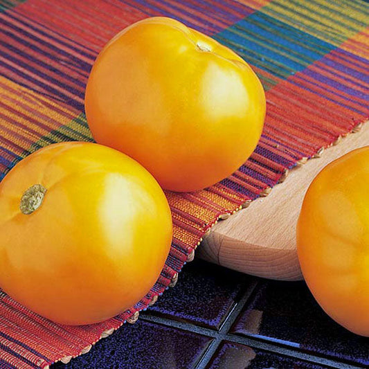 Crisp Tomato Seeds – High Yielding Beefsteak Variety with Firm Texture and Great Taste 0
