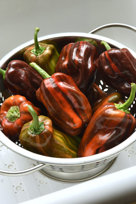 Crispy Candy Cherry Peppers – Unique Striped Mini Snack Delight for Flavorful Dishes 0