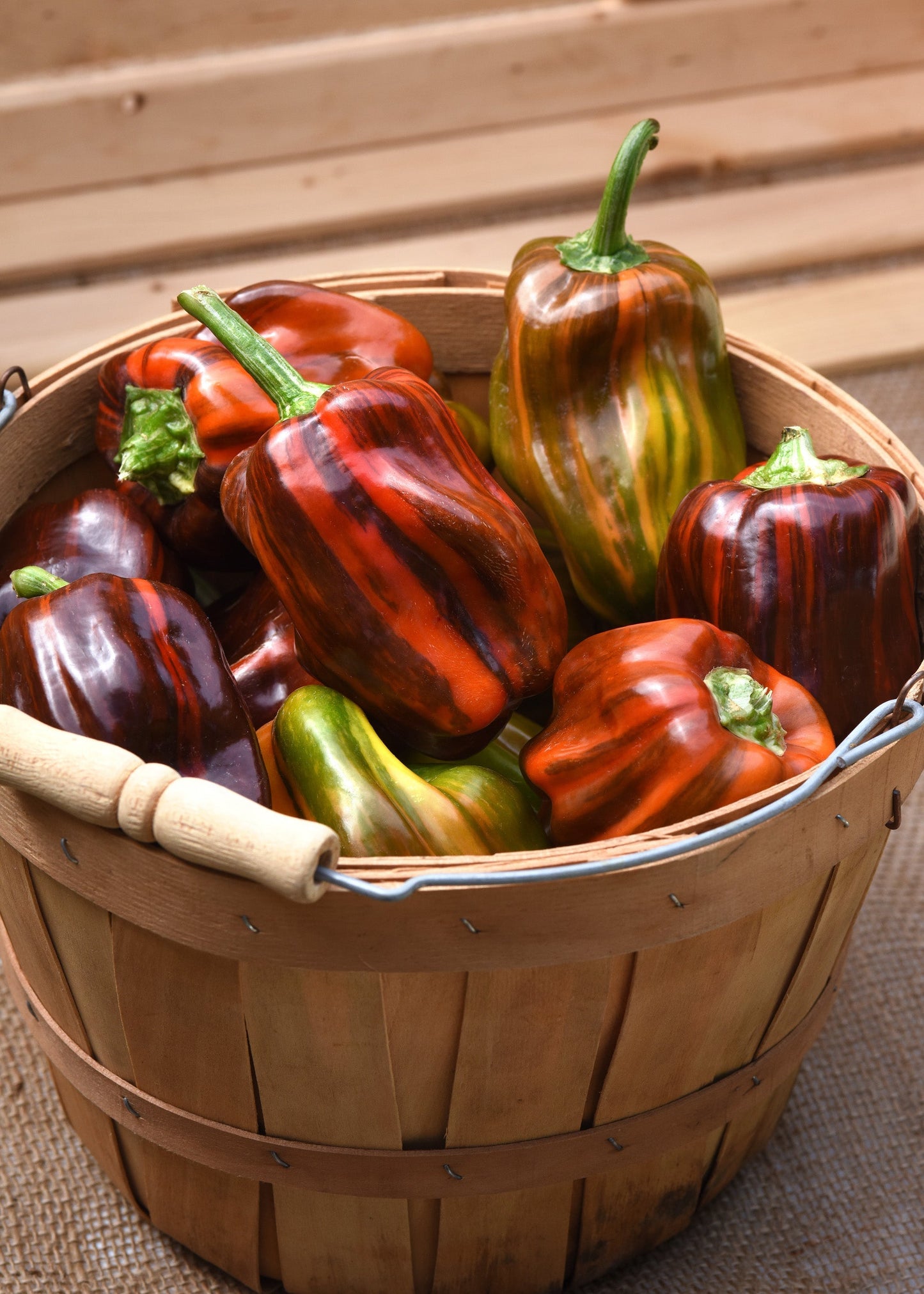 Crispy Candy Cherry Peppers – Unique Striped Mini Snack Delight for Flavorful Dishes 1