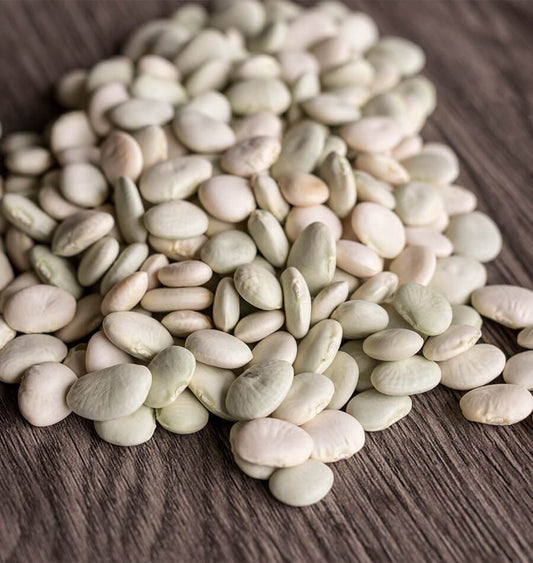 Eager Gardeners' Lima Beans – Compact Dwarf Variety for Quick Nutrient-Rich Harvests 0