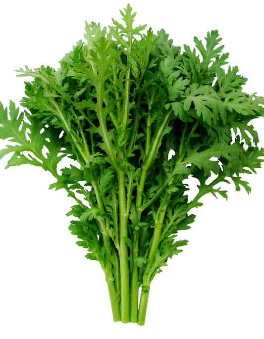 Fabulous Frilly Edible Chrysanthemum Seeds – Unique Culinary Herb for Flavorful Dishes 0