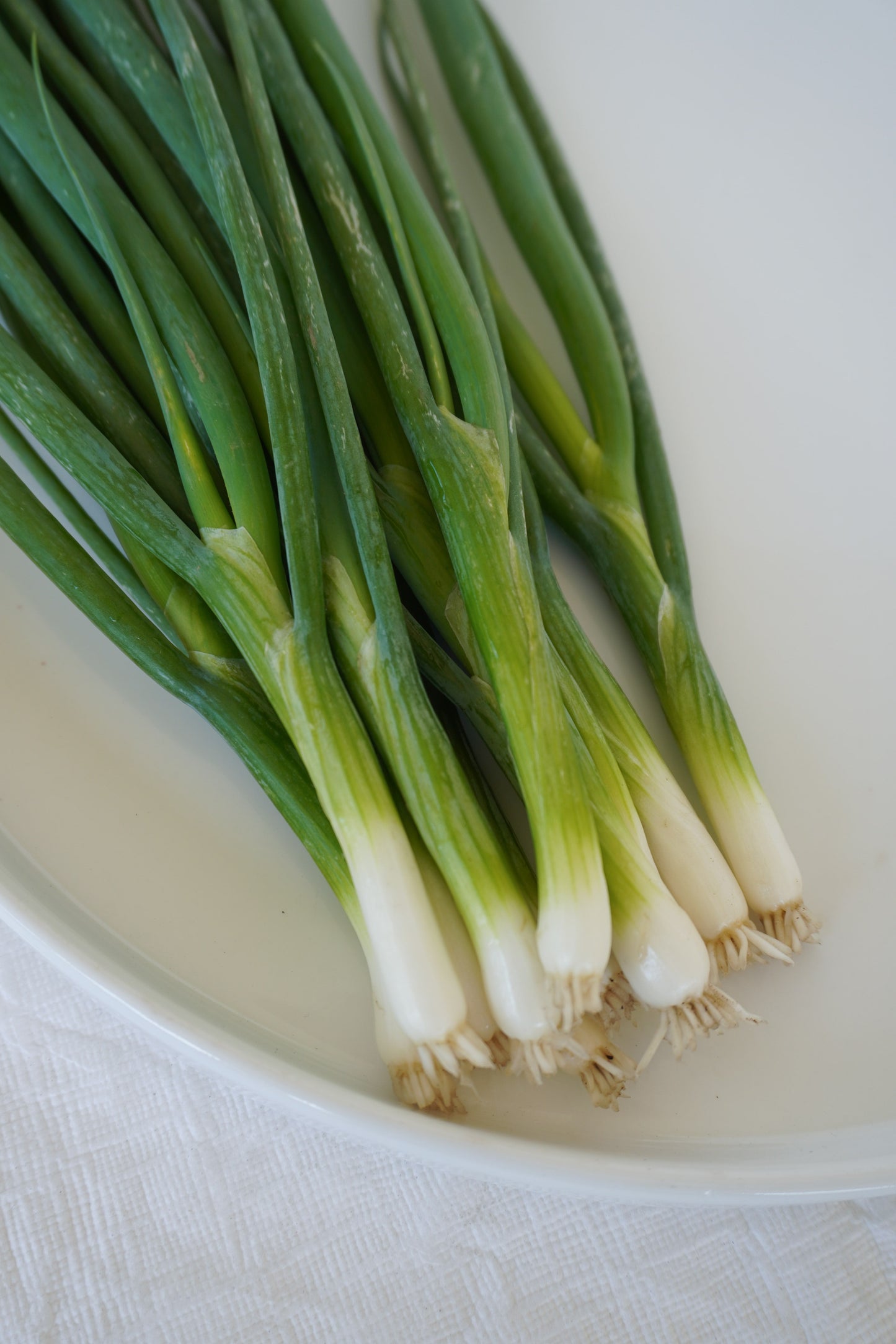 Fabulous Green Onion Seeds – Vibrant Fukagawa Scallions For Easy Growing In Warm Climates 2