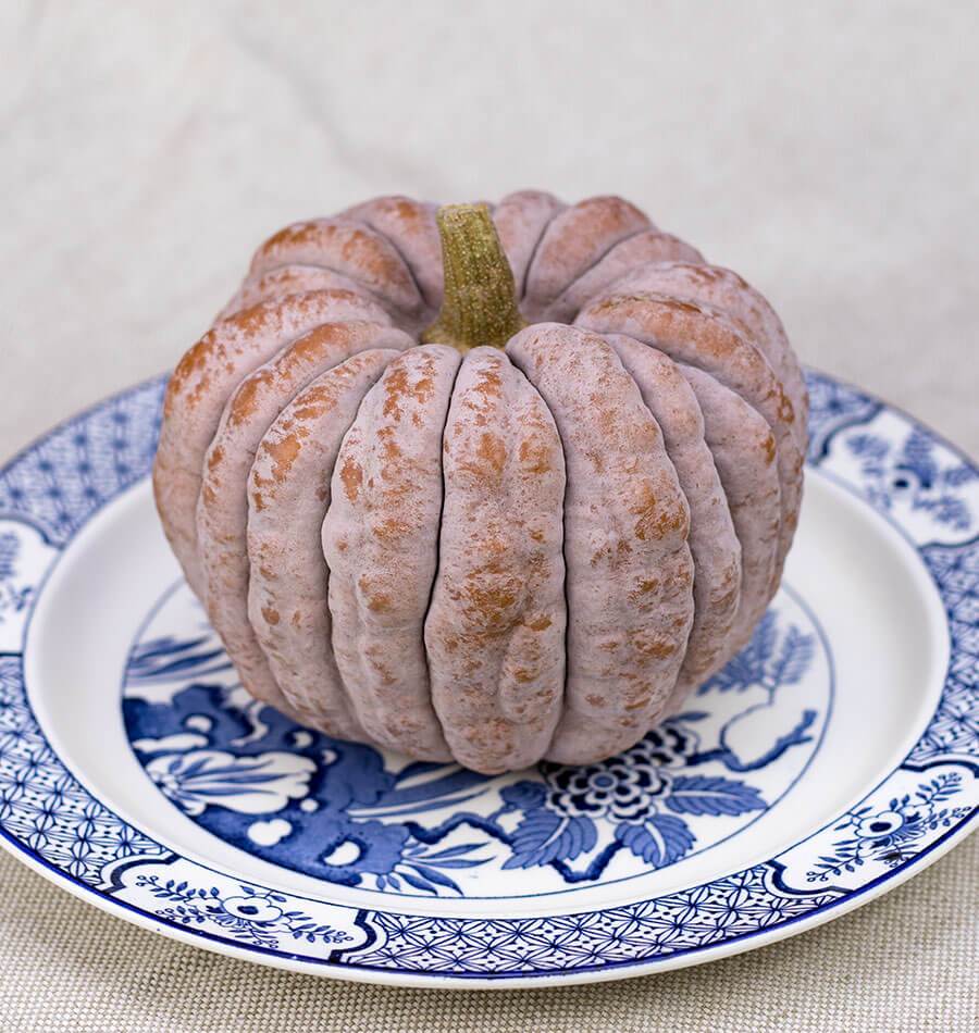 Futsu Black Heirloom Squash – Decorative Pumpkin-Like Fruit with Sweet Nutty Flavor for Unique Fall Displays 2