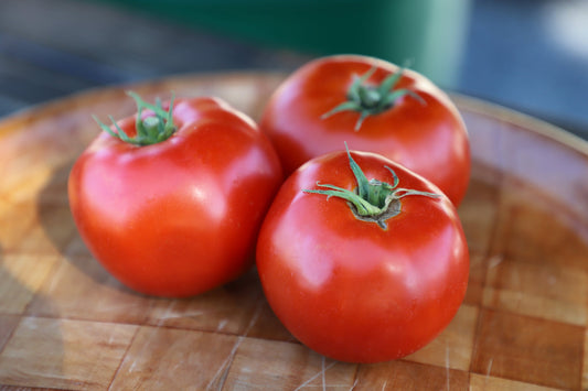 Galahad Organic Tomato Plant – High-Yielding Bush Variety with Sweet, Crack Resistant Fruits 0