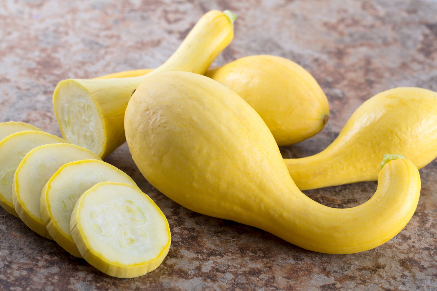 Gleam Heirloom Yellow Squash – Curved Fruit with Mild Flavor for Sustainable Gardening 0