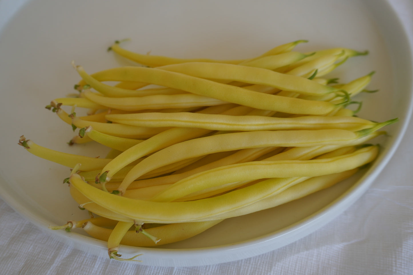 Gold Rush Organic Yellow Beans – Tender Bush Variety with Excellent Flavor 1
