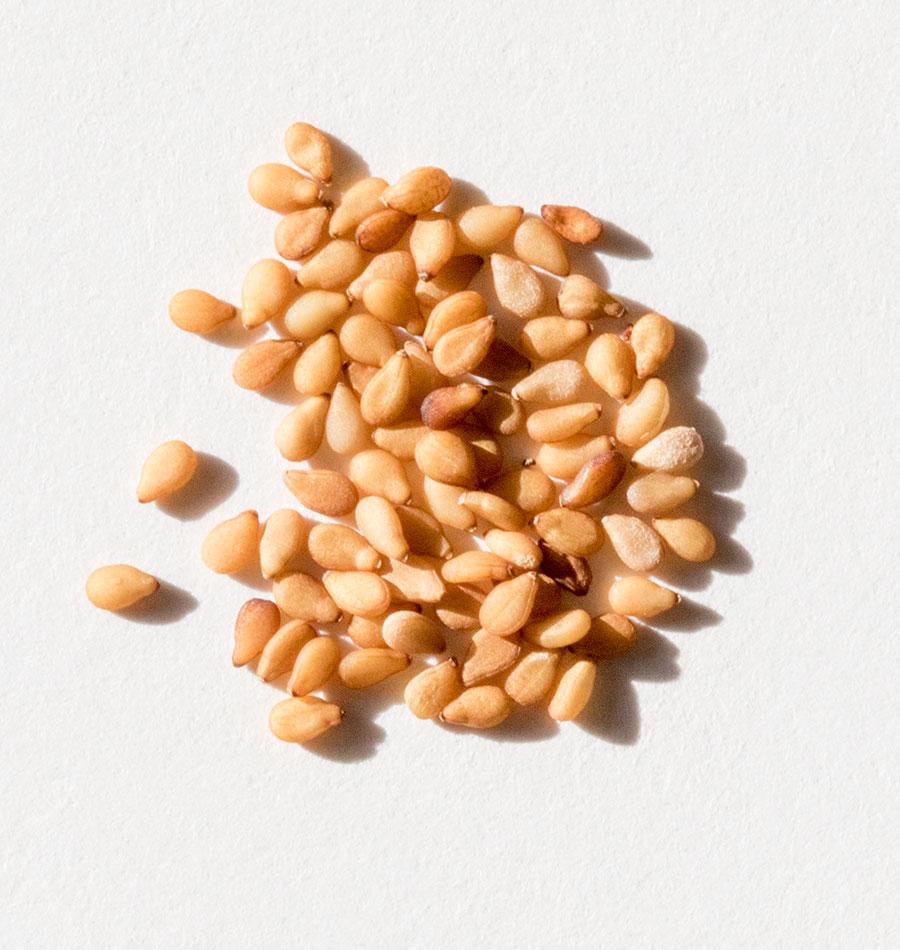 Gold Sesame Gardeners' Seed – Versatile Flavor for Culinary Delights 1
