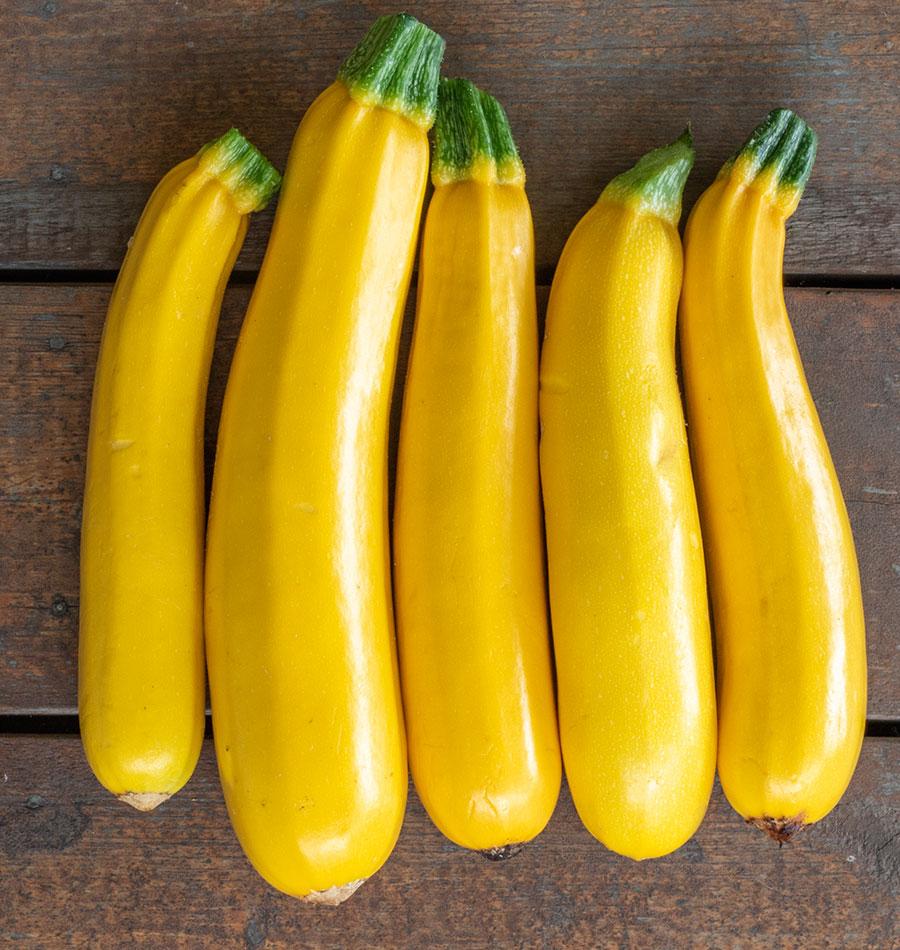Goldy Organic Squash – Vibrant Yellow Fruits with Uniform Shape for Delicious Home Harvests 0