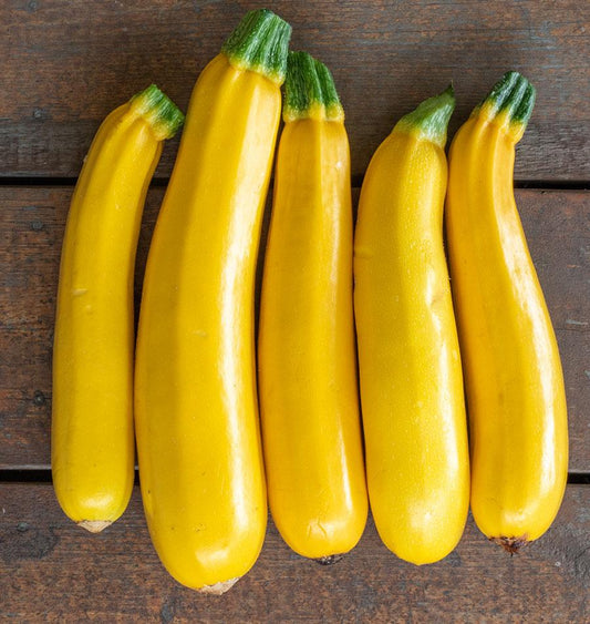 Goldy Organic Squash – Vibrant Yellow Fruits with Uniform Shape for Delicious Home Harvests 0