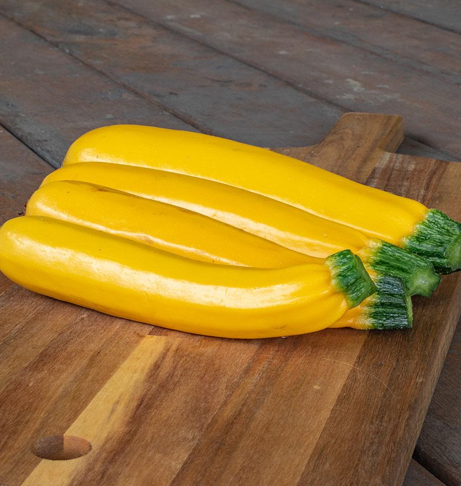 Goldy Organic Squash – Vibrant Yellow Fruits with Uniform Shape for Delicious Home Harvests 2