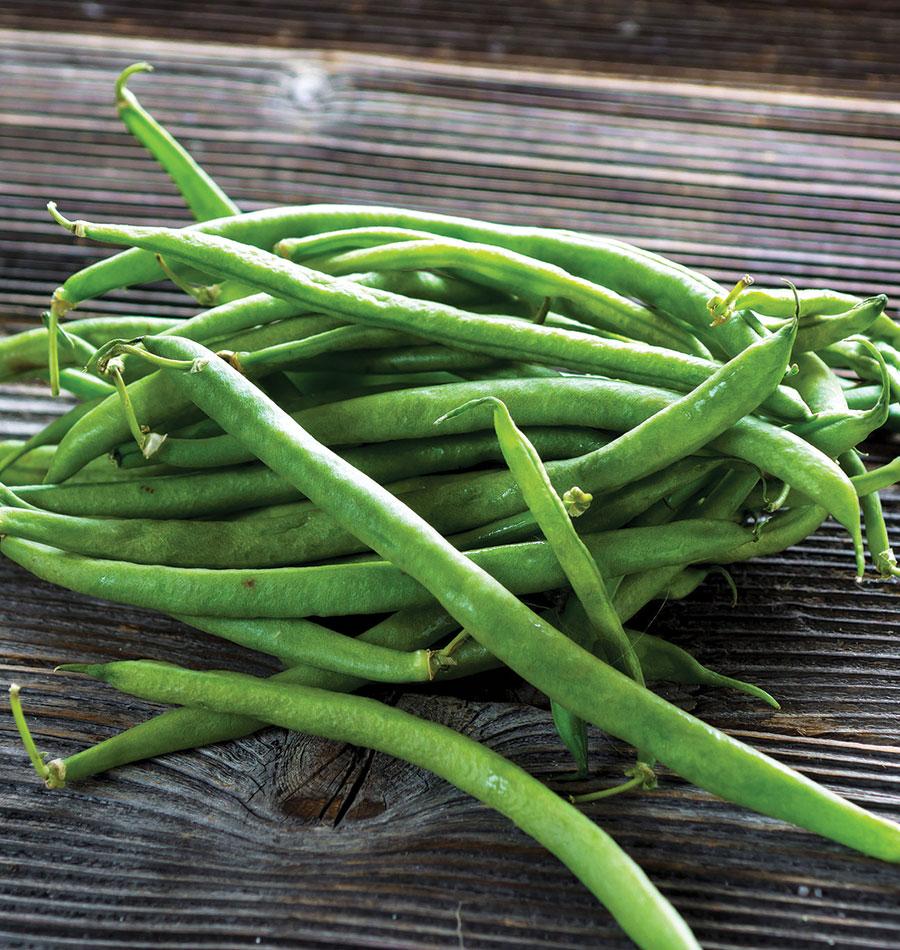 Goliath Home Gardeners Bean – Large Tender Pods for Abundant Harvests 0