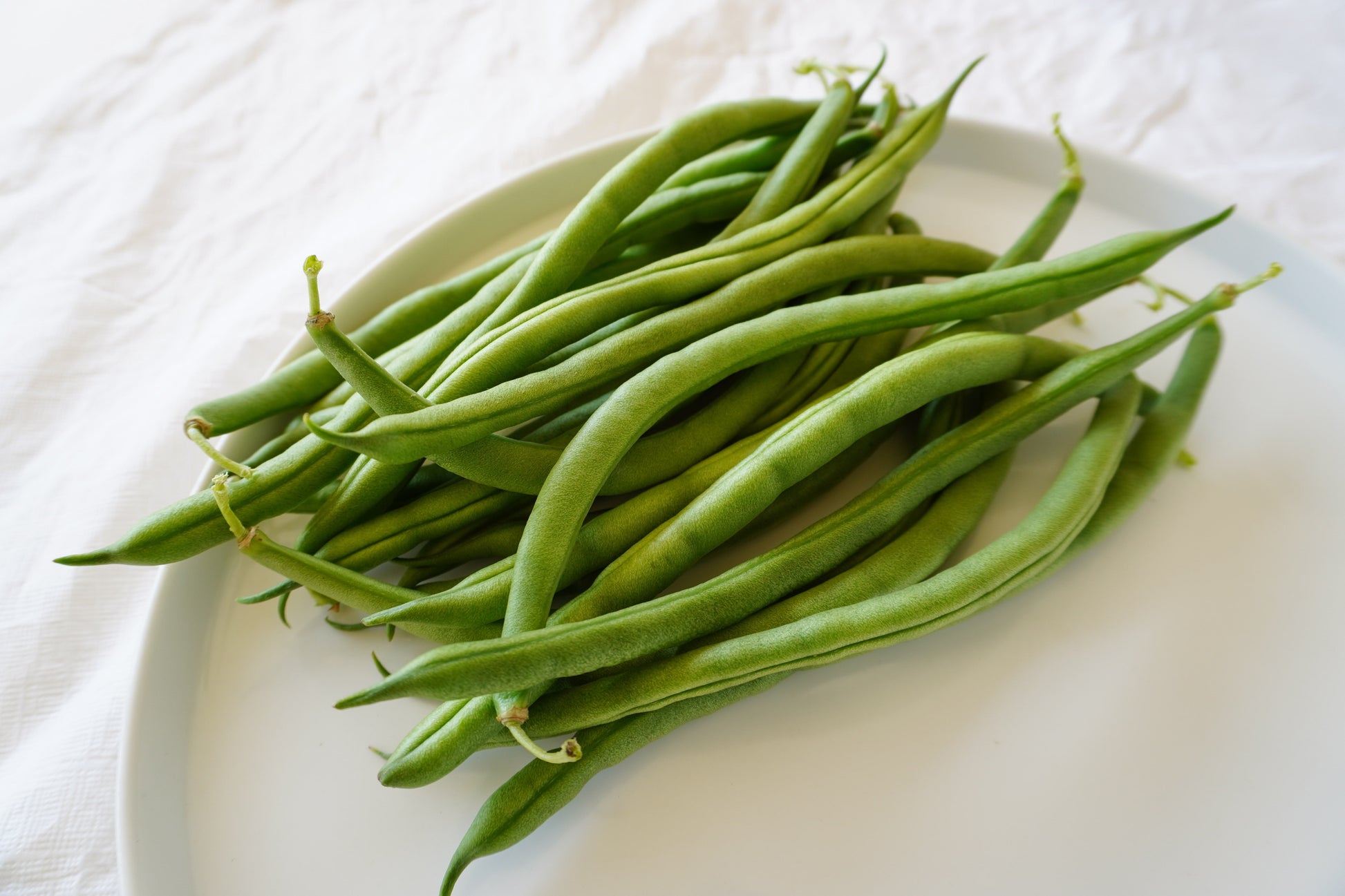 Goliath Organic Bush Beans – Large Tender Pods for Home Gardeners, Disease Resistant for Easy Harvesting 0